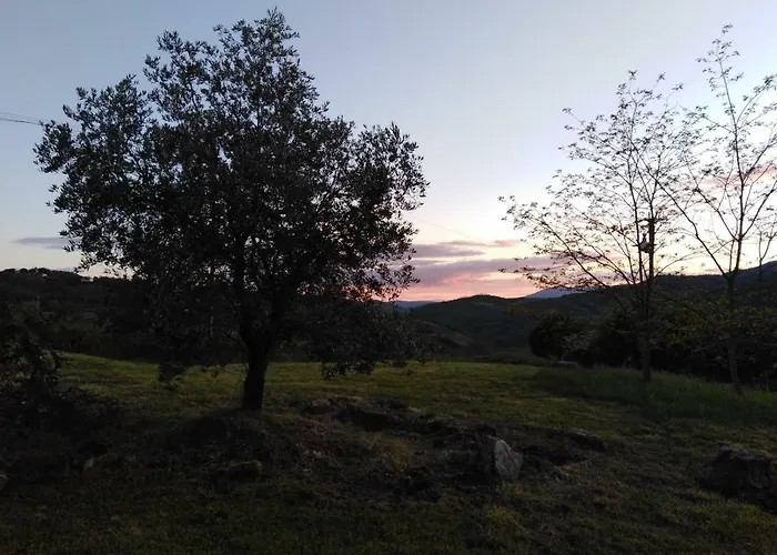 Δωμάτια σε οικογενειακή κατοικία Casa Umbria *